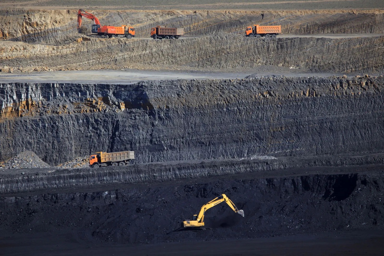 Sector Study | Coal Mining and Trading