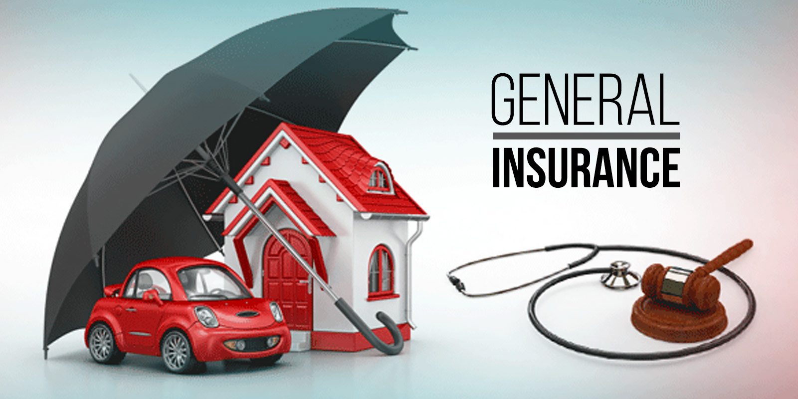 Assessment Framework | General Insurance