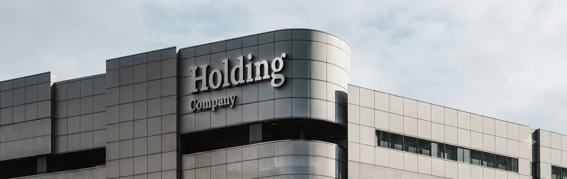 Sector Study | Holding Companies