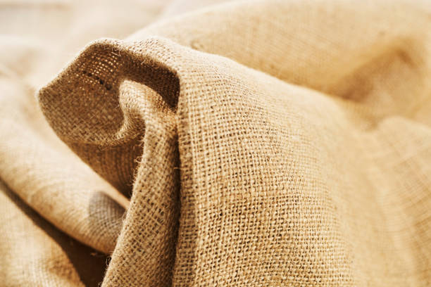Sector Study | Jute